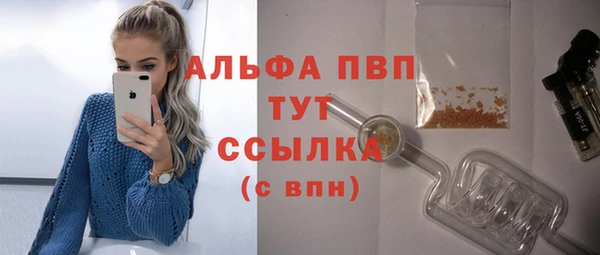 spice Куйбышев